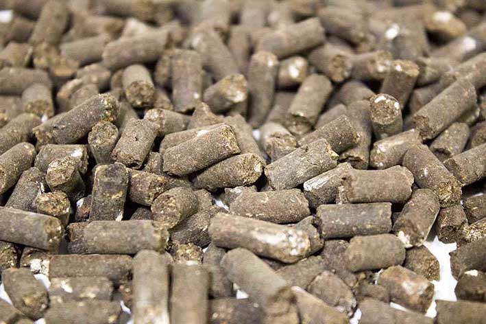 Pellet de Orujo Pellet de Orujo